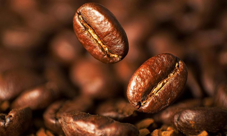 The Interplay of Roasting Level and Bean Origin: Unveiling Coffee’s Flavour Dynamics - Modern Hippi