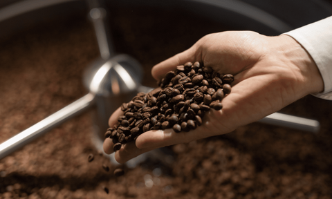 Light vs. Dark Roast – Which Packs a Caffeine Punch?