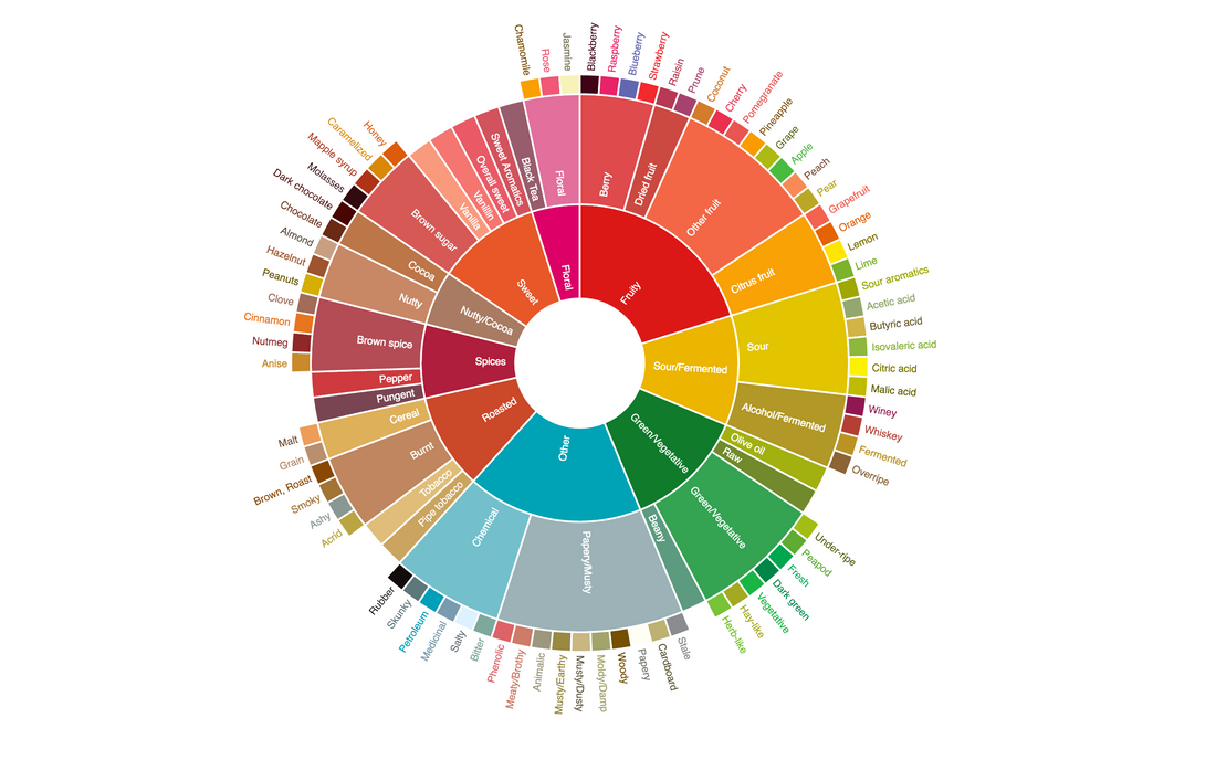 The Flavor Wheel Made Simple: How to Taste Coffee Like a Pro (Without Overthinking It)