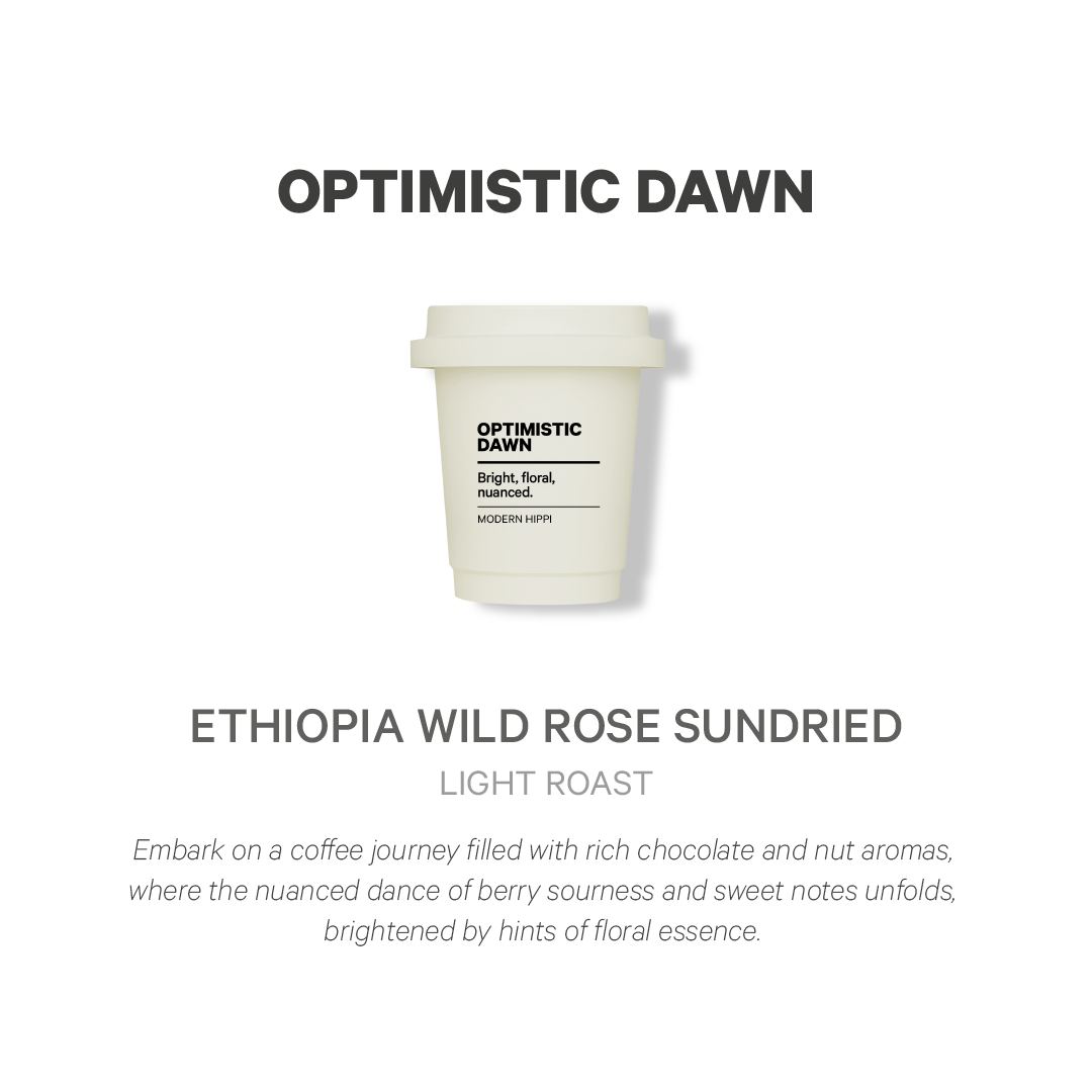 Optimistic Dawn Light Roast Coffee (3 Boxes) Subscription - Modern Hippi